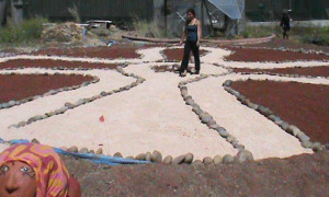 Shannon walking the newly rebuilt Labyrinth, June 2011